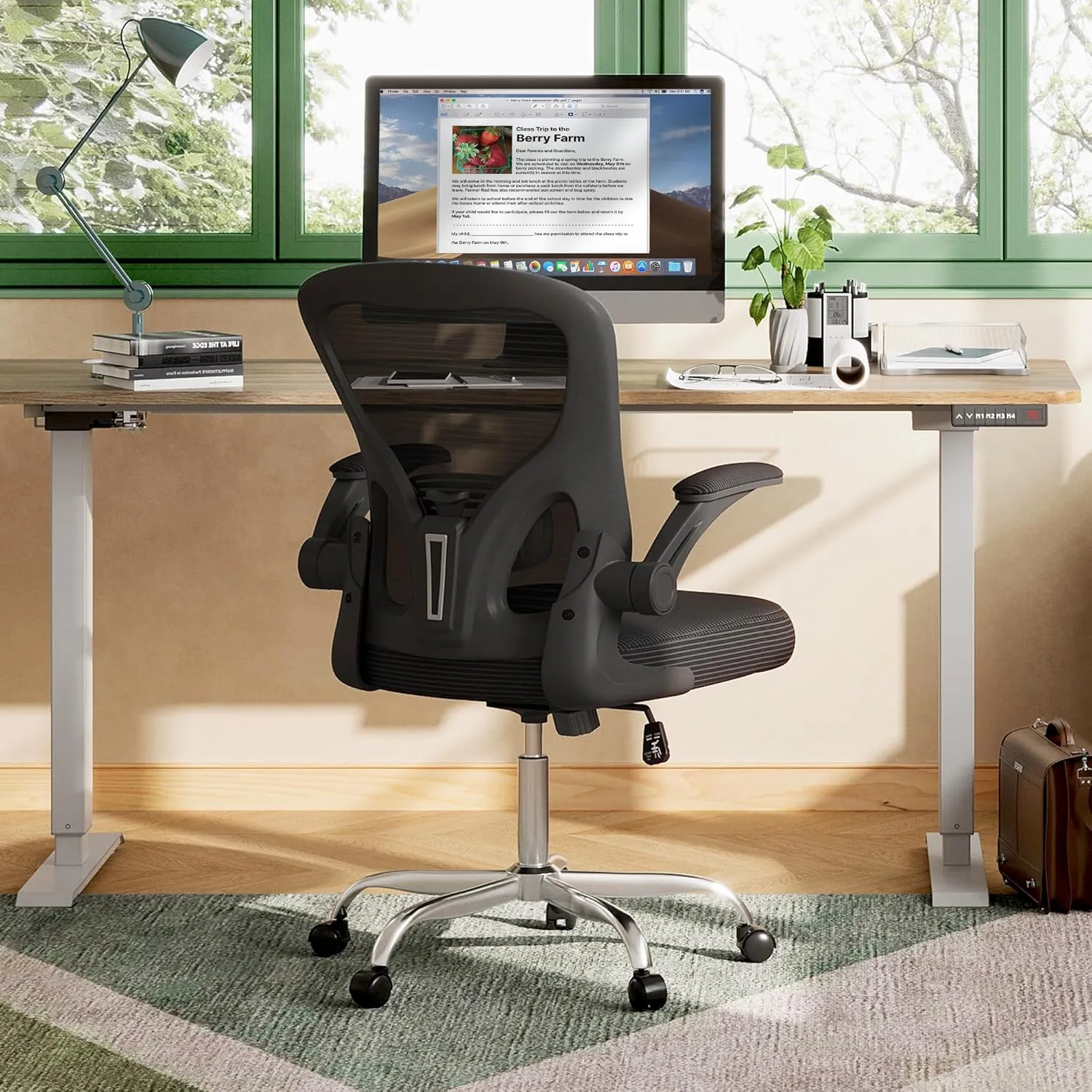 DEVAISE Office Chair Ergonomic Computer Desk Chair with Flip-up Armrests, Comfy Mesh with Adjustable Lumbar Support, Black