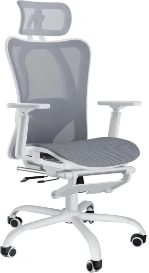 Ergonomic Office Chair, Adjustable Lumbar Support, 3D Headrest, Flip-Up Armrests, Retractable Footrest, High-Back Mesh Design, Comfortable Desk Chair for Home and Office, Gray